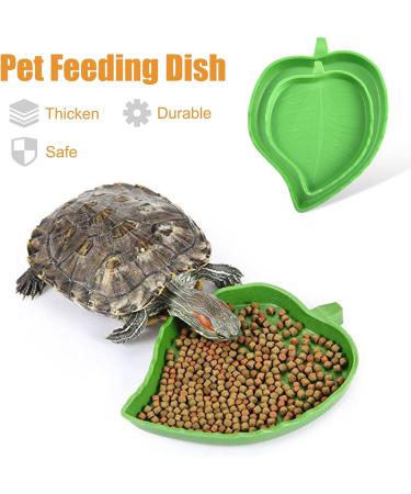 2Pcs Tortoise Water Bowls Reptile Feeding Dish Leaf Shape Reptile Food Water Bowl Feeding and Water Dish Reptile Accessories Tortoise Water Dish Tortoise Cage Accessories - Buy Online on GoSupps.com