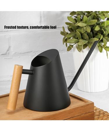 Arrosoir 900 ml avec long bec en acier inoxydable avec poign e en bois pour jardin int rieur et ext rieur Blanc - Buy Online on GoSupps.com