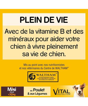 Pedigree Adulte Mini Croquettes for small dogs ( 10kg) with chicken Pack of 6 of 2kg - Buy Online on GoSupps.com