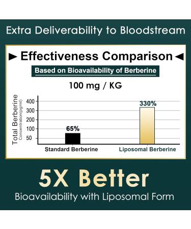 LILICARE Berberine 500mg Supplement, Once Daily, Liposomal Gummies with Ceylon Cinnamon, Bitter Melon, Banaba Leaf for Metabolism Balanced, AMPK Activator, High Absorption, Sugar Free, Vegan, 60 Cts - Buy Online on GoSupps.com