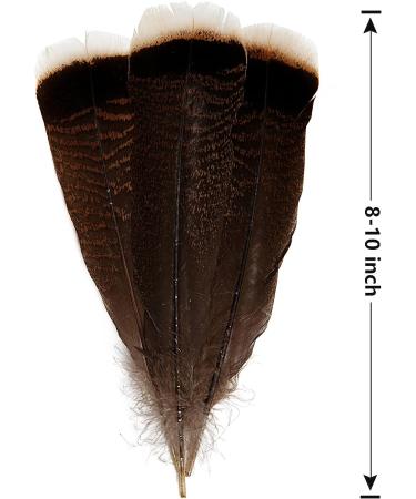 THARAHT 24pcs Natural Wild Turkey Tails Feathers Quill Bulk 6-8inch for DIY Crafts & Wedding Decor - Buy Online on GoSupps.com
