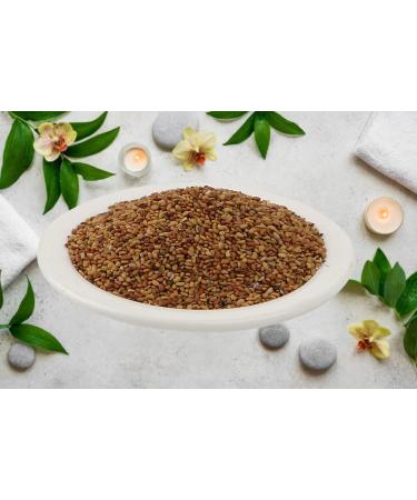 Alfalfa Whole-Edible-Hedge Lucerne-Raw Herbs-Medicago Sativa-Jadi Booti-Single Herbs (100 Gram) - Buy Online on GoSupps.com