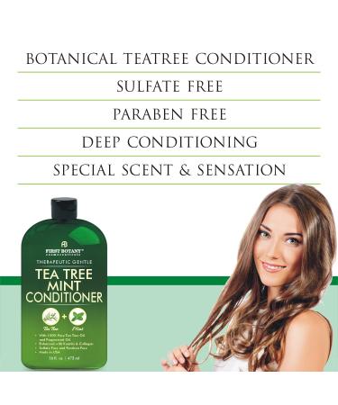 Buy First Botany Tea Tree Oil Conditioner 16 fl oz | Anti Dandruff & Itchy Scalp Relief | Sulfate & Paraben Free | Prevents Head Lice & Thinning Hair - International Shipping - Buy Online on GoSupps.com