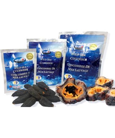 Arctica Food Canadian Dried Wild Sea Cucumber - 0 Trans 0 Cholesterol Low Sodium Great Source of Protein Premium Quality Superfood Best Select (50g) - Buy Online on GoSupps.com