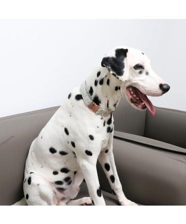 Unique Style Paws Adjustable Dog Collar & Leash Perfect for Small Medium & Large Dogs and Cats - S Flower Design - Buy Online on GoSupps.com