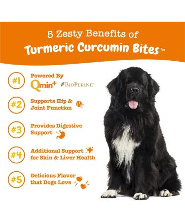 Zesty Paws Turmeric Curcumin Bites for Dogs - Bacon Flavor Soft Chews for Everyday Vitality (90 Counts) - Buy Online on GoSupps.com