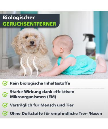 Coverax Bio Smell Remover - Enzyme Cleaner & Odor Neutralizer for Cat & Dog Urine Tough Smells | 500ml Spray for Couch Carpet & Car - Buy Online on GoSupps.com