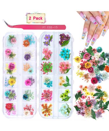 2 Boxes Dried Flowers for Nail Art  KISSBUTY 24 Colors Dry Flowers Mini Real Natural Flowers Nail Art Supplies 3D Applique Nail Decoration Sticker for Tips Manicure Decor (Gypsophila Flowers Leaves)