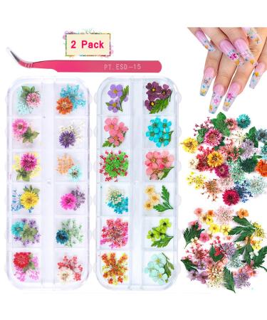 2 Boxes Dried Flowers for Nail Art  KISSBUTY 24 Colors Dry Flowers Mini Real Natural Flowers Nail Art Supplies 3D Applique Nail Decoration Sticker for Tips Manicure Decor (Gypsophila Flowers Leaves) - Buy Online on GoSupps.com