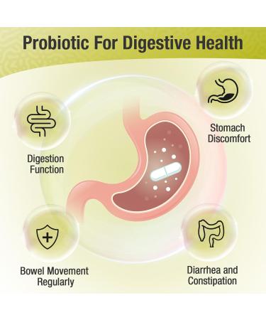 Ascuoli Probiotics for Women & Men - 300 Billion CFU 24 Strains Probiotics + 15 Organic Herbs Blend Daily Probiotic for Digestive Health Immune Gut Bloating - 60 Capsule 60 Count (Pack of 1) - Buy Online on GoSupps.com