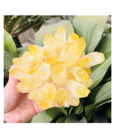 Natural Citrine Phantom Quartz Crystal Cluster Specimen qiangang (Size : 700-800g)