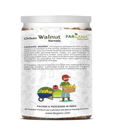 Organic Chilean Walnut Kernels - 500g Pack | Akhrot Giri | Without Shell | Premium Quality - Buy Online on GoSupps.com