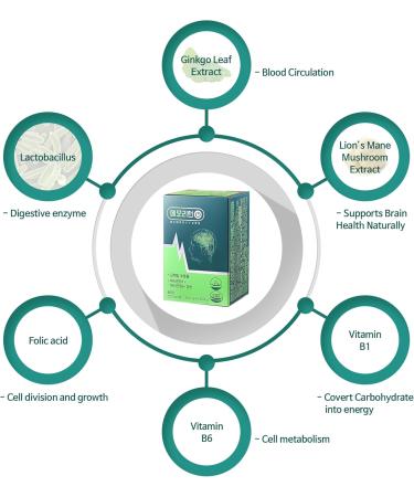 Memoryturn Brain Supplement Natural Nootropic with Lion s Mane & Ginkgo Biloba Focus Memory & Cognitive Support Probiotic Formula with B Vitamins & Folate for Daily Wellness 60 Capsules - Buy Online on GoSupps.com