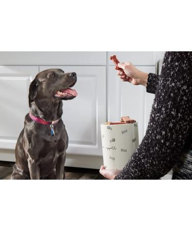Pearhead Pet Feeding Set: Dog and Cat Bowl, Treat Jar, Holiday Home Decor, Mat & Accessories - Buy Online on GoSupps.com