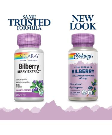 Solaray Bilberry Berry Extract 60mg - Eye Health & Circulation Support - 36% Anthocyanosides - Vegan - 120 VegCaps - Buy Online on GoSupps.com