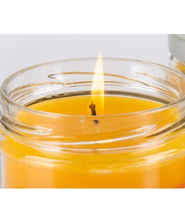 Pet Odor Exterminator Candle Set - Orange Lemon Splash and Clothesline Fresh 13oz Jars - Buy Online on GoSupps.com
