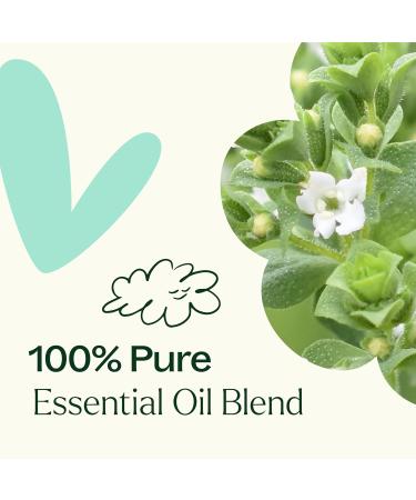 Plant Therapy Ache Away Pre-Diluted Essential Oil Roll-On Blend 10 mL (1/3 oz) 100% Pure Natural Aromatherapy Ache Away 0.34 Fl Oz (Pack of 1) - Buy Online on GoSupps.com