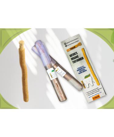 SEWAK Miswak Sticks for Teeth Natural Toothbrush |       | Siwak Organic Wooden Tooth Brush Oral Teeth Whitener with Holder | Vacuum Sealed 2 Count (Pack of 1)