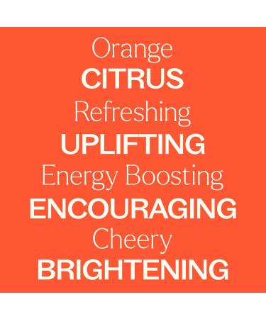 Plant Therapy Orange Essence Oil 10 mL (1/3 oz) 100% Pure Undiluted Essence Oil Orange 0.33 Fl Oz (Pack of 1) - Buy Online on GoSupps.com