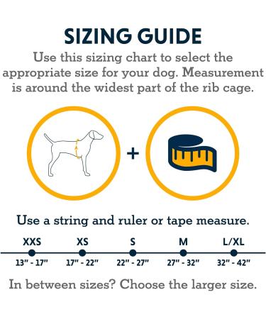 RUFFWEAR Flagline XS Reflective Dog Harness with Handle | Lightweight & Adjustable | Alpenglow Pink - Buy Online on GoSupps.com