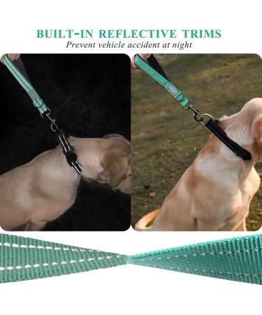 Vivaglory Short Dog Leash - 32cm Training Line for Medium & Large Dogs - Green Traffic Leash - Buy Online on GoSupps.com