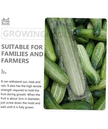 2pcs Vegetable Shaping Mold Cucumbers Vegetables Garden Fruit Mold Fruit Shaping Mold Modeling Melon - Buy Online on GoSupps.com