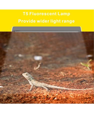DERNORD T5 UVB Fluorescent Tube - 10.0 24W UV Tube Light Bulb 24 Inch Reptile Heat Lamp Tube Light for Tortoise Bearded Dragons Vivarium Lighting 24W 10.0 - Buy Online on GoSupps.com