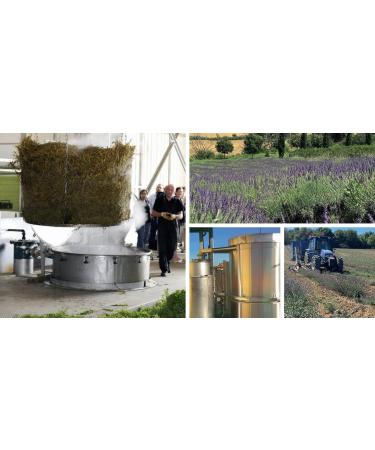 Iperico Bio Olio Veg 50 ml - Buy Online on GoSupps.com