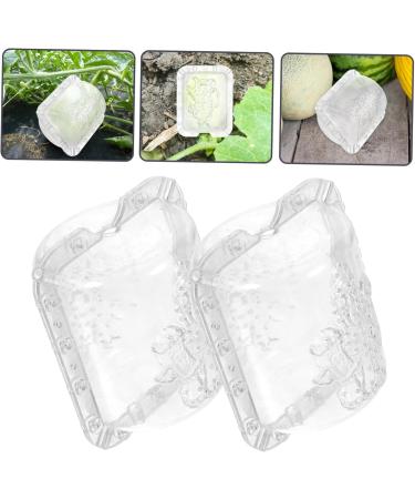 Milisten 2pcs Fruit Shaping Mold Fruits Small Fruit Mold Shaper Mold Fruit Accessory Accessories Vegetable - Buy Online on GoSupps.com