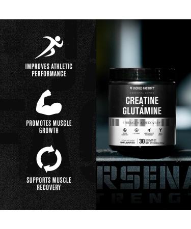 Jacked Factory Creatine + Glutamine - Creatine Supplement with L-Glutamine for Muscle Recovery Muscle Growth Increased Strength Enhanced Energy Output and Gut Health - 30 Servings Unflavored Unflavored 10.58 Ounce (Pac  - Buy Online on GoSupps.com