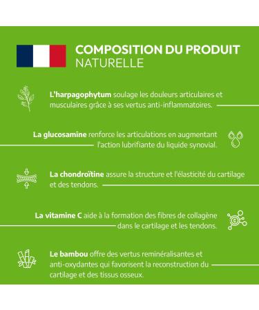 N OV TO - Dog Joints - 30 natural tablets - Dog Arthritis - Anti-inflammatory - Active ingredients approved by Veterinary Services - Made in France - Buy Online on GoSupps.com