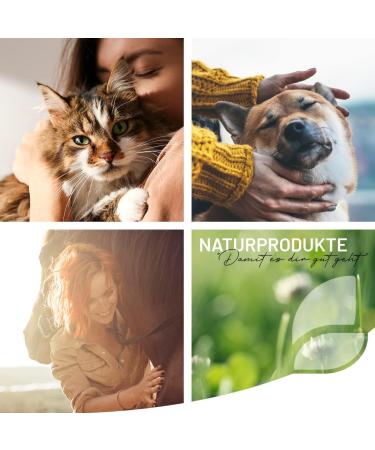 ReaVET Joint Liquid for Dogs and Cats with MSM - 110 ml for joints and bones natural support of joint function with high acceptance - Buy Online on GoSupps.com