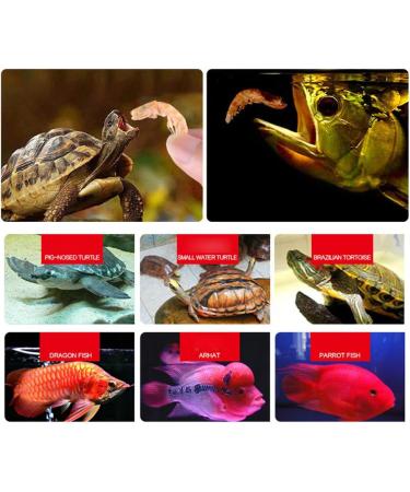 Frozen Dried Shrimp for Ornamental Fish Water Turtles Small Pets 1L 2.8L 3L Resealable Box - Buy Online on GoSupps.com