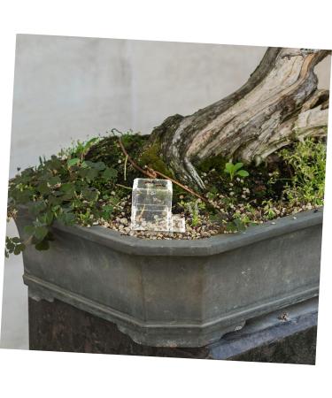 BESPORTBLE 4pcs Pet Water Feeder Ants Water Bowl Ants Water Feeding Bowl Mini Liquid Feeder Ants Feeder Plastic - Buy Online on GoSupps.com