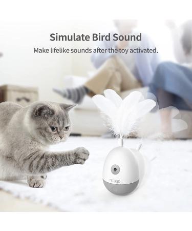 PETGEEK Laser Pointer Cat Toy - Interactive Kitten Toy with Bird Squeaky - Automatic Rotating Cat Laser Pointer - Indoor Cat Toys Gray - Buy Online on GoSupps.com