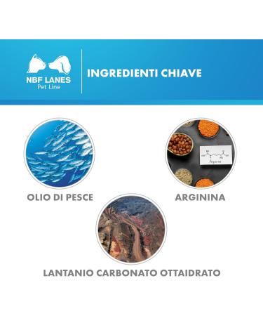 NBF Lanes | Nefrokrill Cat 30 Softgel Pearls Support for Kidney Function in Chronic Kidney Failure for Adult and Senior Cats - Buy Online on GoSupps.com