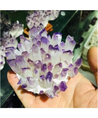 Natural Crystal Rough Natural Crystal Cluster Amethyst Specimen Ore Purple Quartz Reiki Stone Raw Crystal Home Decor Decoration (Size : 500-600) - Buy Online on GoSupps.com