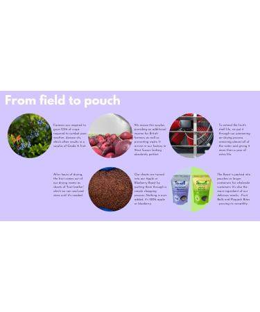 Squished Apple & Blueberry Boost Mixed Pack | Air-Dried Pieces | 2 x 150g | Nothing Added Just Apple & Blueberries | Gluten Free | Resealable Bags - Buy Online on GoSupps.com