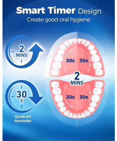 Rotating Electric Toothbrush for Adults with 8 Brush Heads (2 Types) Z Midnight - Buy Online on GoSupps.com