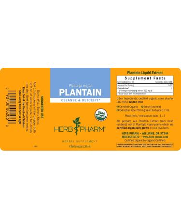 Herb Pharm Organic Plantain Liquid Extract - 4 oz | Cleansing & Detoxification - Buy Online on GoSupps.com