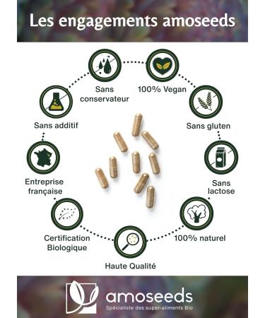 Organic Liver Detox | Powerful Detoxifying Draining Improves Digestion | Artichoke Black Radish Dandelion | 90 Vegan Capsules | Superior Quality Made in France - Buy Online on GoSupps.com