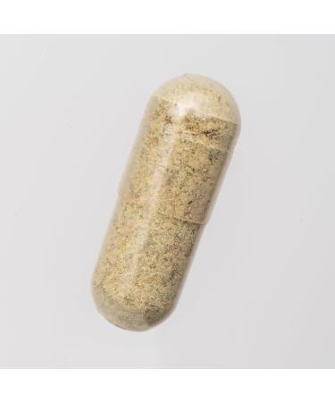 Food Over Drugs Lung Formula Herbal Detox with Organic Mullein Thyme Licorice & Astragalus Natural Supplement for Lung Support Breathing Clarity & Mucus Balance Plant-Based Capsules - Buy Online on GoSupps.com