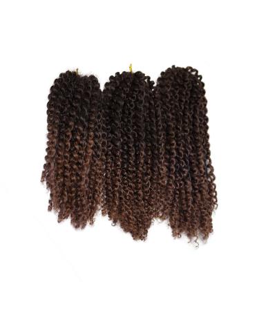Eunice Hair 3 Packs Ombre Brown Braids Extensions - T1B/30 8-12 Inch Marlybob for African American Styles - Buy Online on GoSupps.com