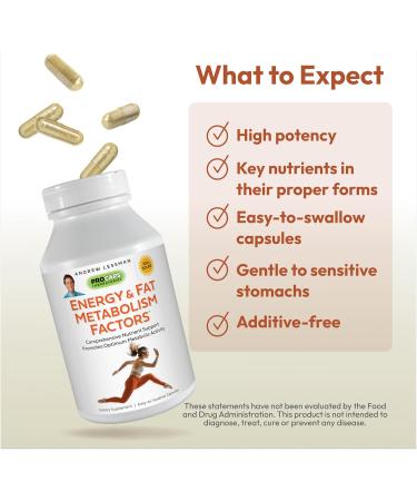 Andrew Lessman Energy & Fat Metabolism Factors - 360 Easy to Swallow Capsules | Boost Fat Burning with Carnitine Green Tea Guarana & Ginseng - Buy Online on GoSupps.com