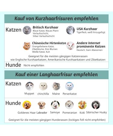 Multifunctional Dog & Cat Brush with Water Tank | Pet Hair Removal & Massage Comb | Ideal for Long Hair - Blue - Buy Online on GoSupps.com