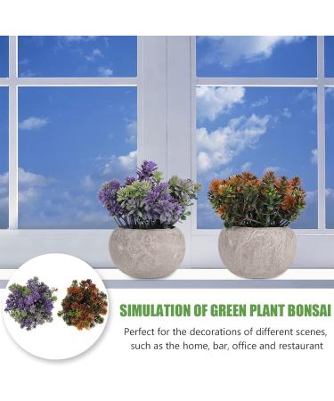 Ciieeo 2pcs Simulated Green Bonsai Artificial Succulents Plants Miniture Decoration Artificial Cactus Small Succulent Plants Silk Plants Greenery Decor Accessories Office Foam Nordic - Buy Online on GoSupps.com