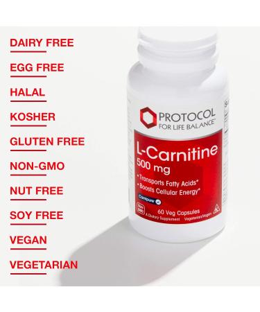 Protocol L-Carnitine 500mg - Vegan Mitochondrial Supplement for Metabolic Health Energy & Exercise Recovery - 60 Dairy-Free Veg Caps - Buy Online on GoSupps.com