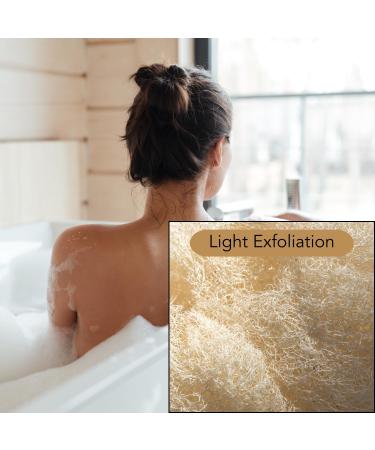 Natural Loofah Scrubber Head Refill - Bamboo Exfoliating Sponge (2 Pack) for Invigorating Shower Experience | Eco-Friendly Body Care - Buy Online on GoSupps.com