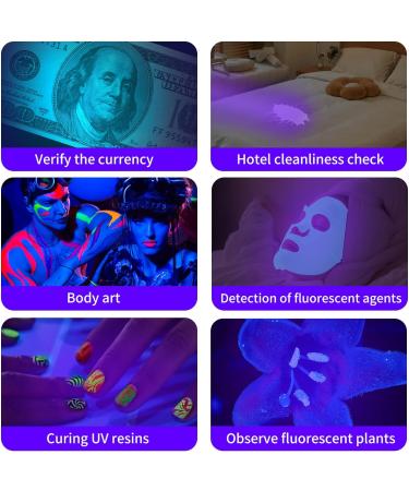 LEAGY 6 Pack UV Ultra Violet Blacklight 9 LED Flashlight Torch Light Outdoors Etc Multicolored - Buy Online on GoSupps.com