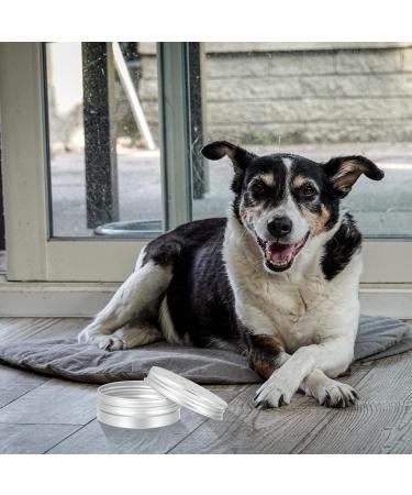POPETPOP Nose Scent Container 20 pcs Tins Silver Round Dog Tin Holder Scent Equipment Work Accessory Aluminum Container Nose Dogs for Containers Odor Tool Metal Case Training Sniffle Puppy Scent - Buy Online on GoSupps.com